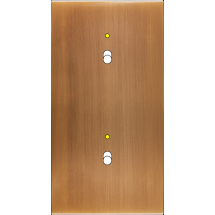  FAC LAITON BRONZE DV B1L B1L M 