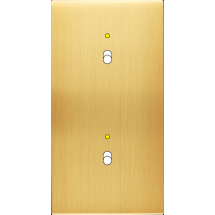  FAC LAITON SAT DV B1L B1L M 