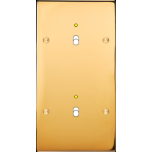  FAC LAITON DORE DV B1L B1L VIS 