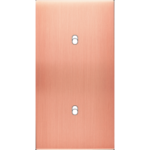  FAC LAITON  CUIV SAT DV B2 