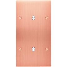  FAC LAIT  CUIV SAT DV B2 A VIS 