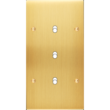  FAC LTC CHAMPAGNE SAT DV B3 A 