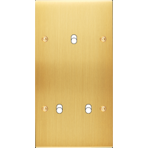  FAC LTC CHAMPAGNE SAT DV B3X A 