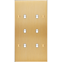  FAC LTC CHAMPAGNE DV B6 A VIS 