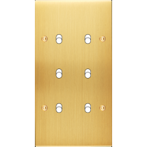  FAC LTC CHAMPAGNE SAT DV B6 A 