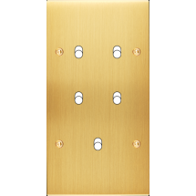  FAC LTC CHAMPAGNE SAT DV B5 A 