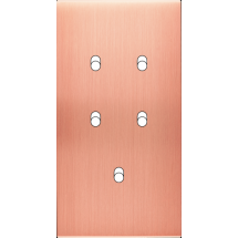  FAC LAITON  CUIV SAT DV B5 