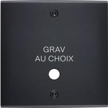  FAC LAITON NOIR S GUINU VIS 