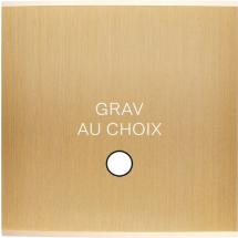  FAC LAITON LAIT-B S GUINU MAG 