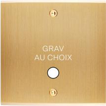  FAC LAITON LAIT-B S GUINU VIS 