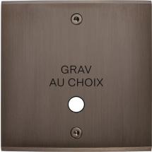  FAC LAITON CANON S GUINU VIS 