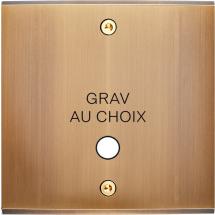  FAC LAITON BRONZE S GUINU VIS 