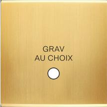  FAC LAITON LAIT-S S GUINU MAG 