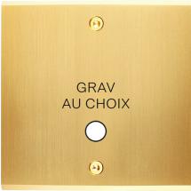  FAC LAITON LAIT-S S GUINU VIS 