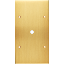  FAC LTC CHAMPAGNE SAT DV P1 A 