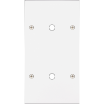  FAC LTC BLANC MAT DV P2 A VIS 