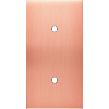  FAC LAITON  CUIV SAT DV P2 