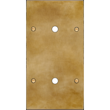  FAC LAITON AUBE DV P1 P1 VIS 