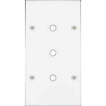  FAC LTC BLANC MAT DV P3 A VIS 