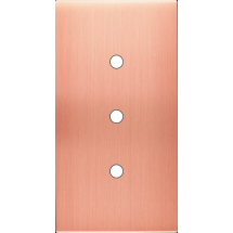  FAC LAITON  CUIV SAT DV P3 