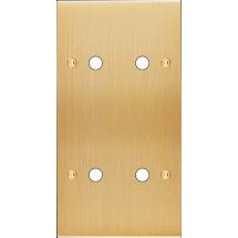  FAC LTC CHAMPAGNE DV P4 A VIS 