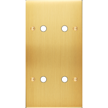  FAC LTC CHAMPAGNE SAT DV P4 A 