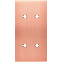  FAC LAITON  CUIV SAT DV P4 