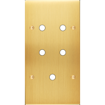  LT CHAMP SAT DV P5 A VIS 