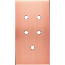  FAC LAITON  CUIV SAT DV P5 