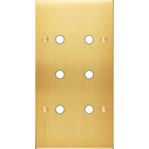  FAC LTC CHAMPAGNE SAT DV P6 A 