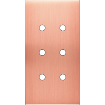  FAC LAITON  CUIV SAT DV P6 