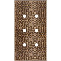  FAC LAITON ATLAS DV P6 