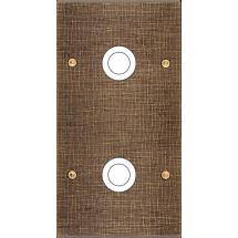  FAC LAITON COSLAN DV GP2 A VIS 