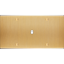  FAC LTC CHAMPAGNE DH B1 A VIS 