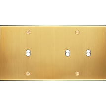  FAC LTC CHAMPAGNE SAT DH B1 B2 