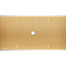  FAC LTC CHAMPAGNE DH P1 A VIS 