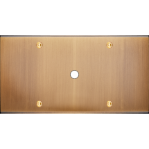  FAC LTC VIEUX BRONZE DH P1 A V 