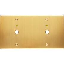  FAC LAITON SAT DH P1L P1L VIS 