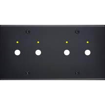  FAC LAITON NOIR DH P2L P2L VIS 