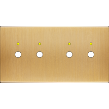  FAC LAITON BROSSE DH P2L P2L M 