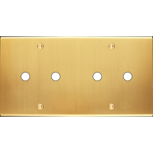  FAC LTC CHAMPAGNE SAT DH P4 A 