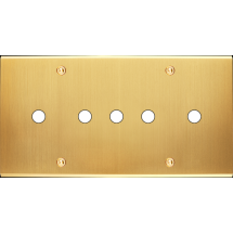  LT CHAMP SAT DH P5 A VIS 