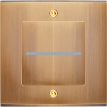  FAC LAITON BRONZE S PC CLAPET 