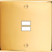  FAC LAITON DORE S U1 A VIS 