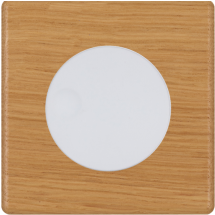  FAC HITERA CHENE CLAIR S V1 