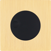  FAC "M" LAITON BROSSE S V1 SAN 