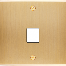  FAC LTC CHAMPAGNE S M1 A VIS 