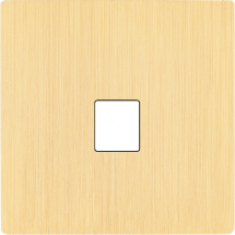  FAC "M" LAITON BROSSE S M1 SAN 