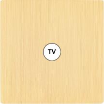  FAC "M" LAITON BROSSE S C1 SAN 