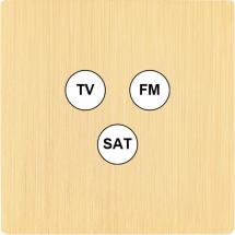  FAC "M" LAITON BROSSE S C3 SAN 